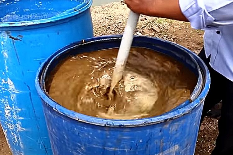 जीवामृत बनाने की विधि - How To Prepare Jeevamrut in Hindi